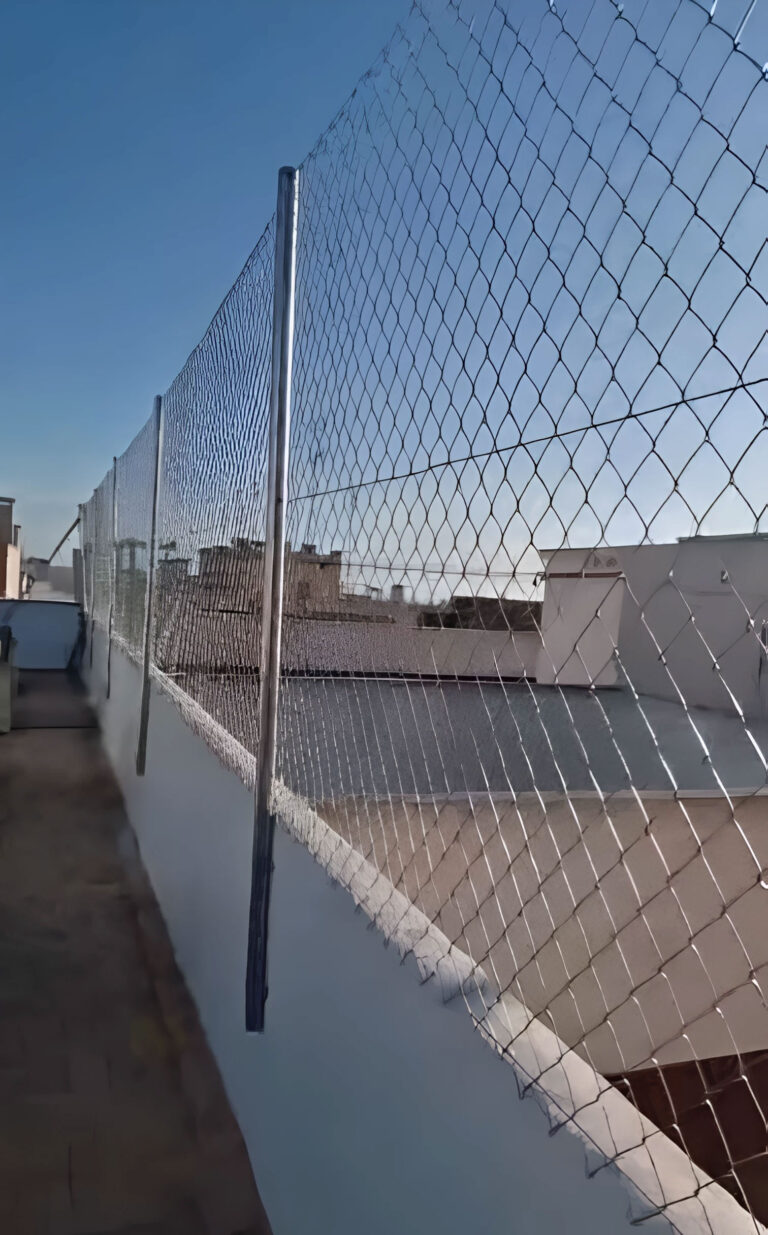 Edificio Fra Jaume Torres